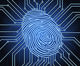 Primary and secondary proof of identification to apply for a US passport Primary and secondary proof of identification to apply for a US passport