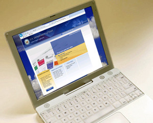How to fill an online US passport application - Tips and Insights How to fill an online US passport application - Tips and Insights