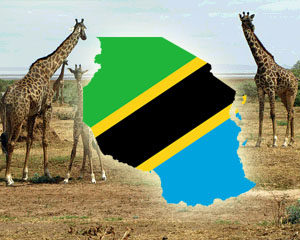 Get a Tanzania Visa! Get a Tanzania Visa!